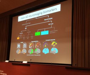 Archivo 8-9-15 21 07 01