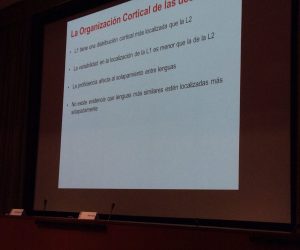 Archivo 8-9-15 21 07 46