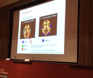 Archivo 8-9-15 21 08 01