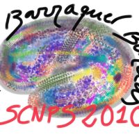 Barraquer 2010