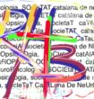 cartells-fons_0001_Cartell 2013